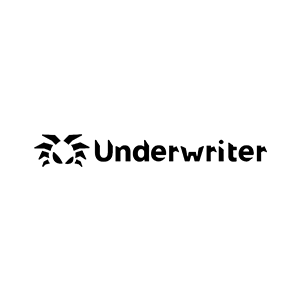 Underwriter AI Review: Smarter Credit Decisions with AI?